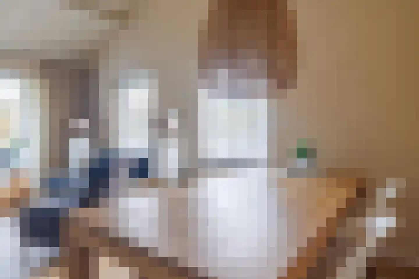 Engelsmanhiem 24 Hollum thumbnail 13