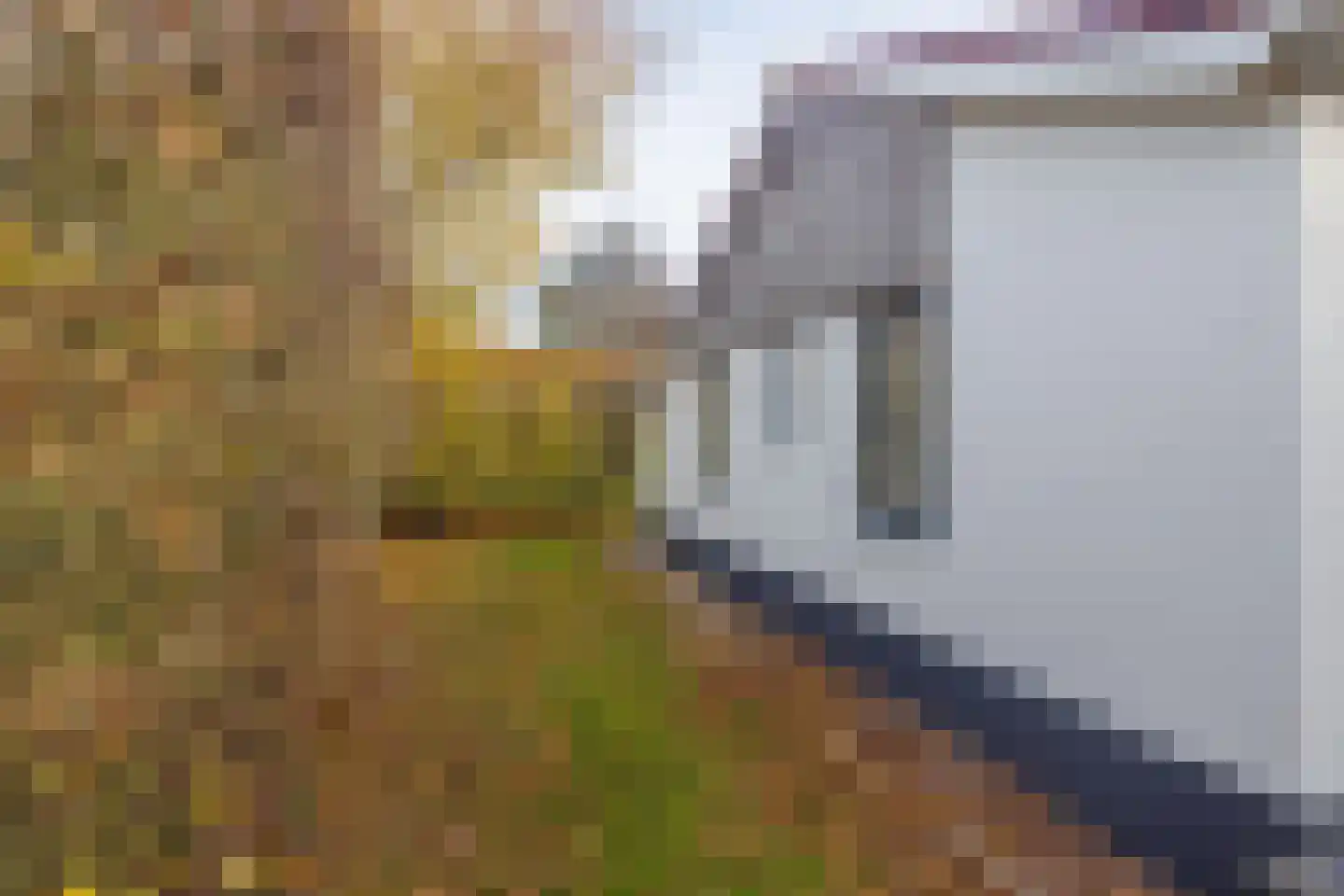 Engelsmanhiem 24 Hollum thumbnail 34