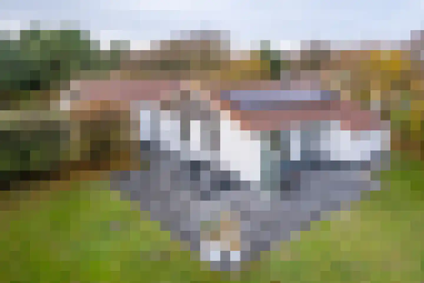 Engelsmanhiem 24 Hollum thumbnail 41