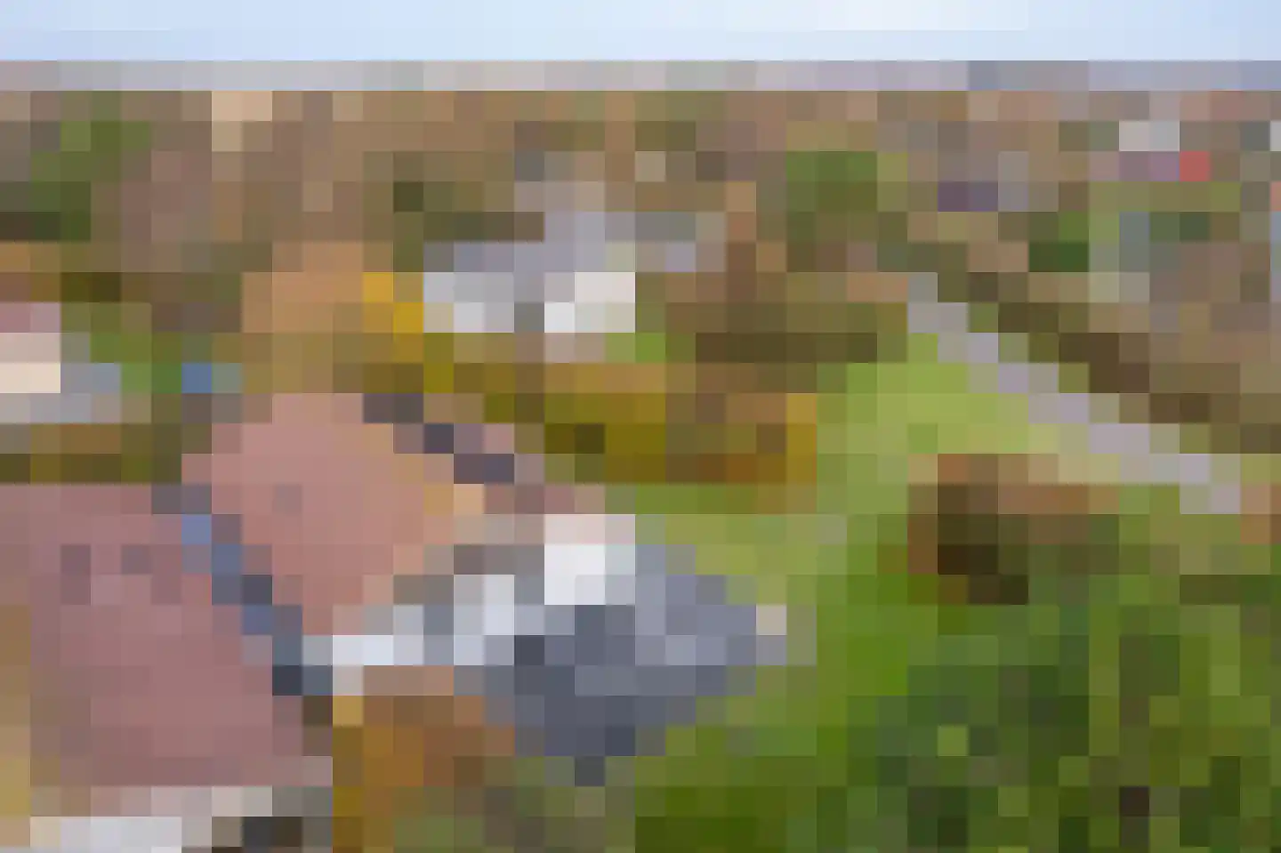 Engelsmanhiem 24 Hollum thumbnail 42