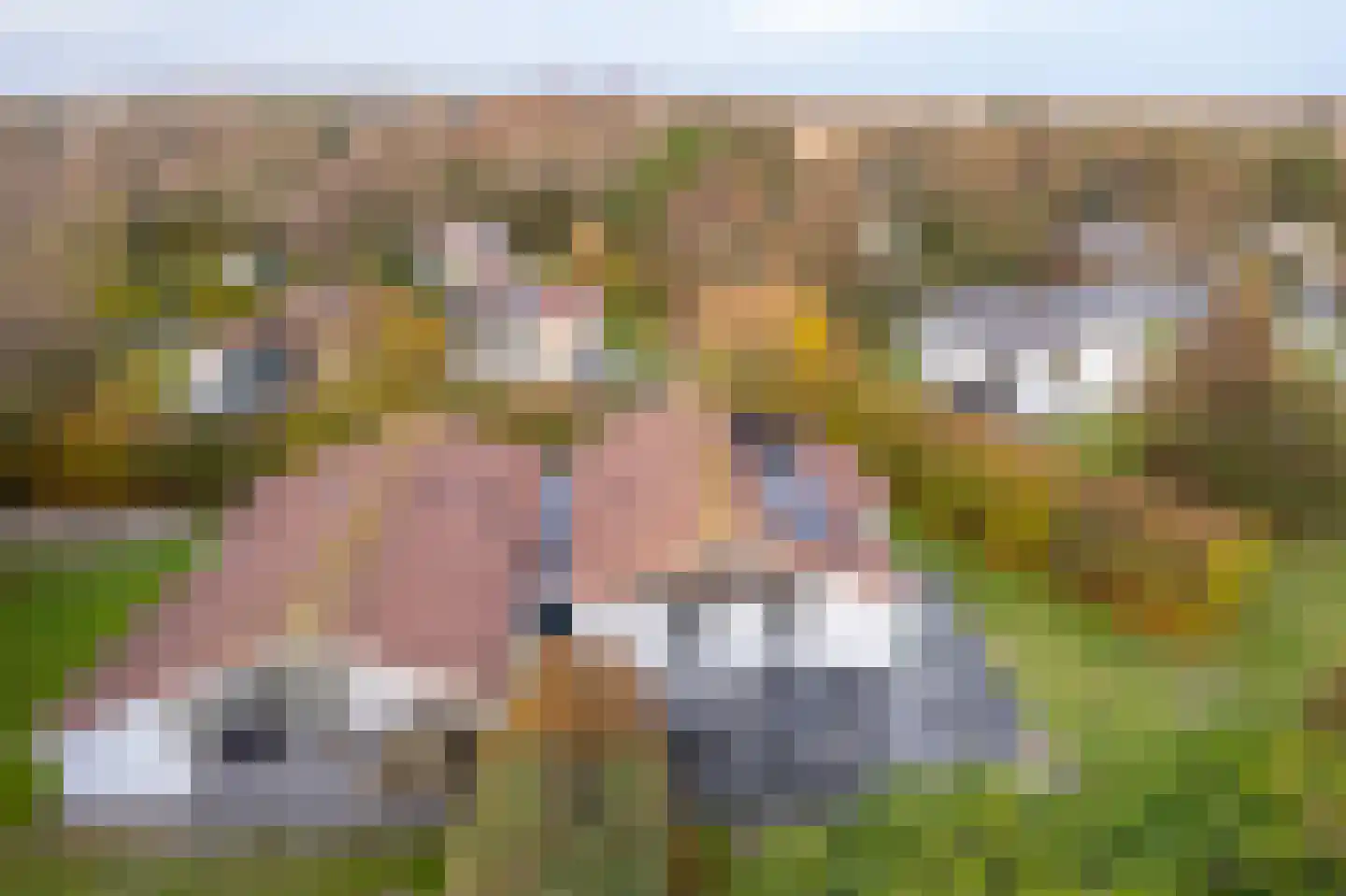 Engelsmanhiem 24 Hollum thumbnail 43