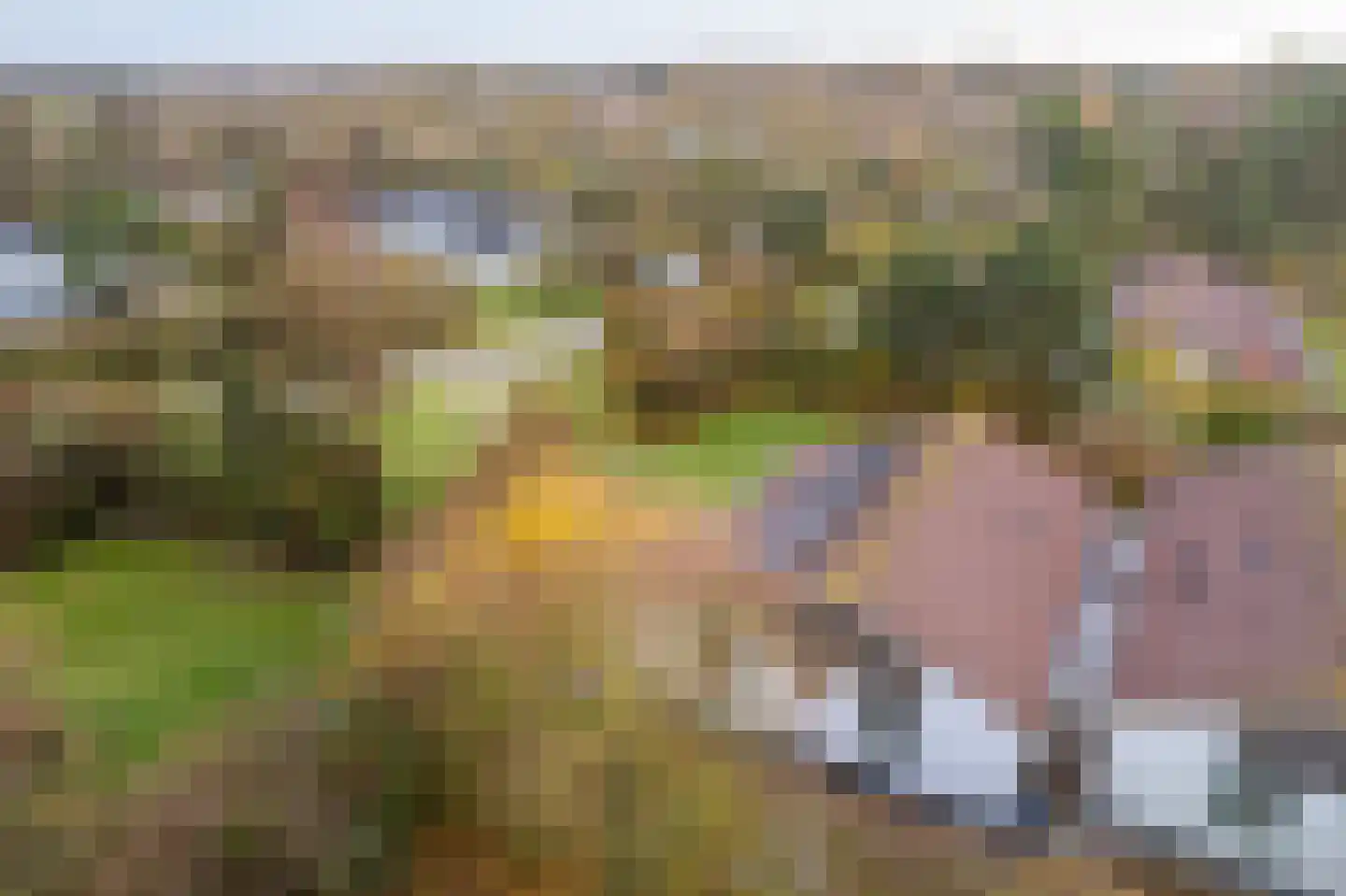 Engelsmanhiem 24 Hollum thumbnail 44