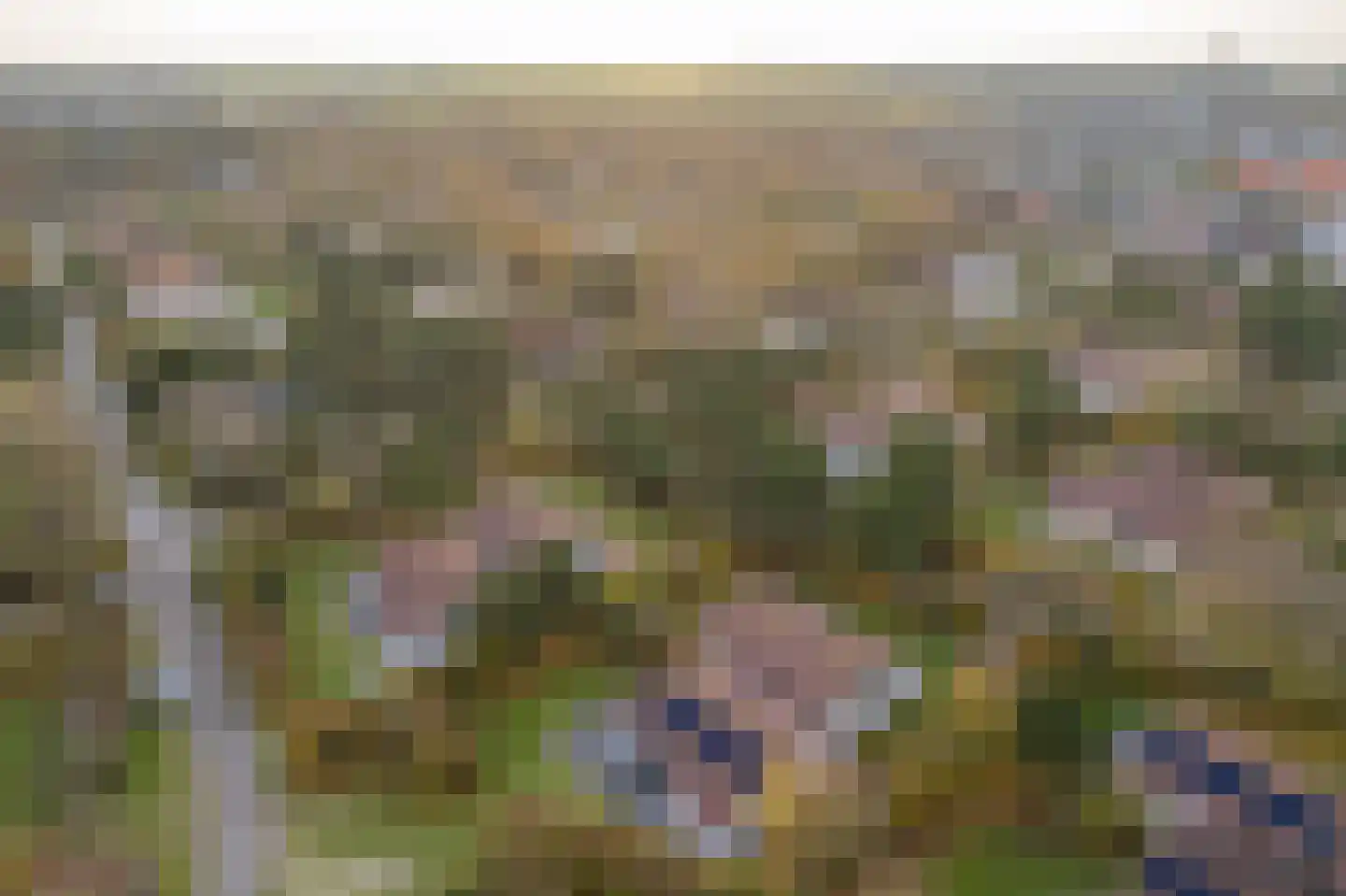 Engelsmanhiem 24 Hollum thumbnail 46
