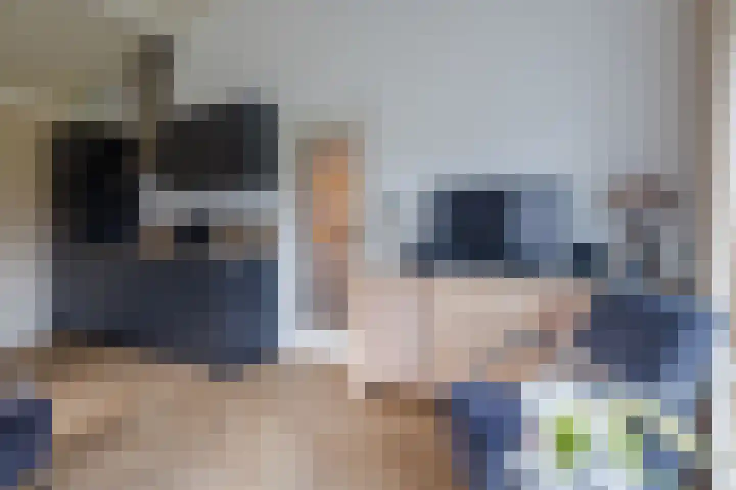 Engelsmanhiem 24 Hollum thumbnail 9