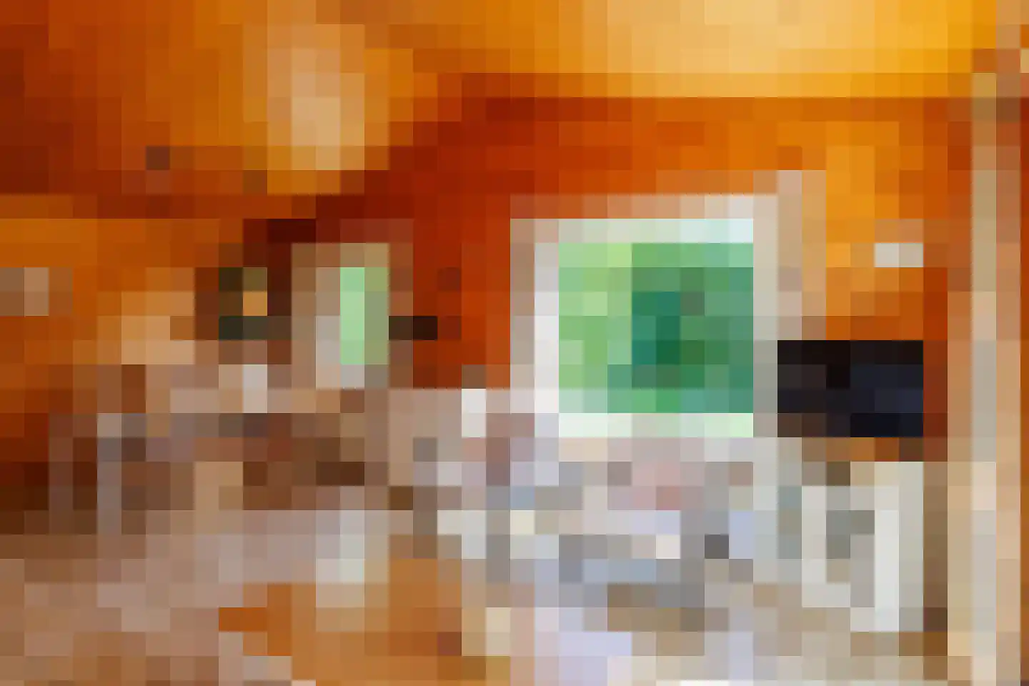 Engelsmanhiem 28 Hollum thumbnail 11
