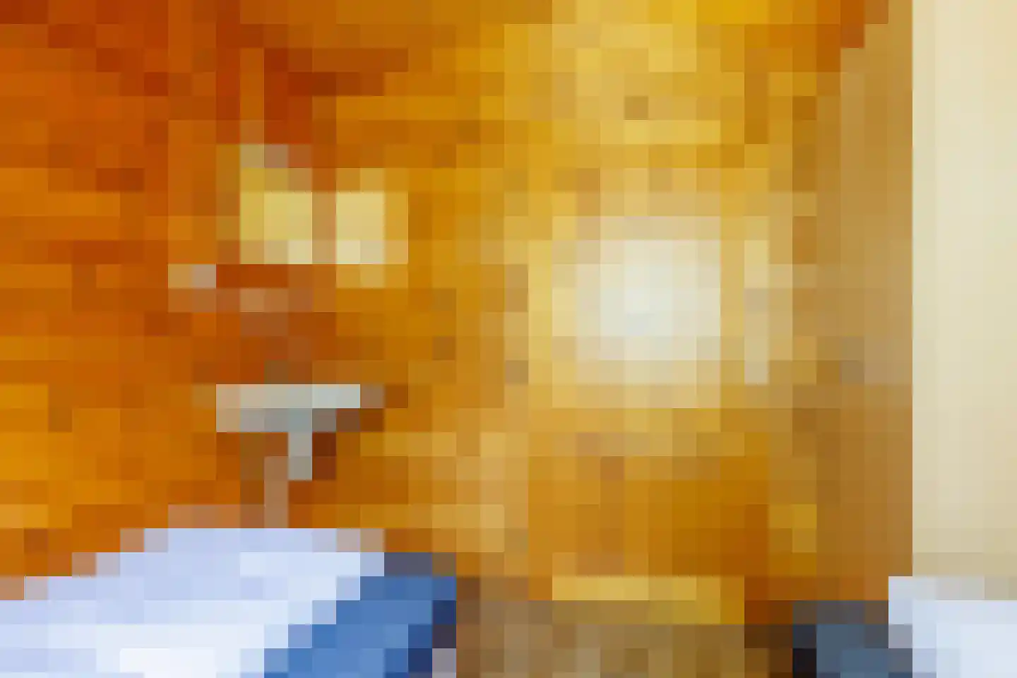 Engelsmanhiem 28 Hollum thumbnail 18