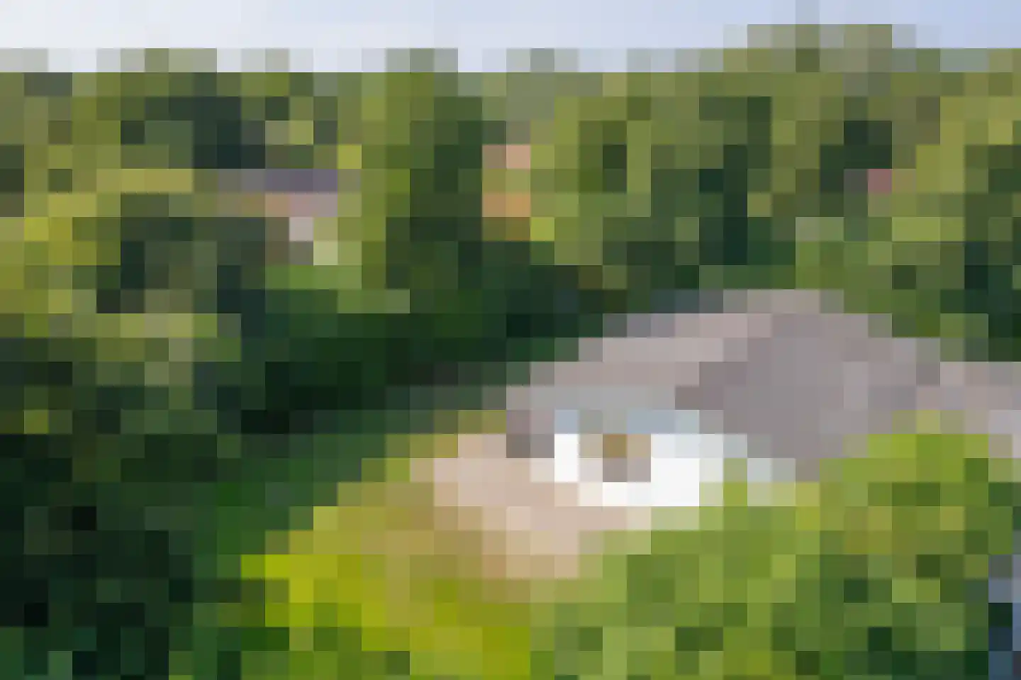 Engelsmanhiem 28 Hollum thumbnail 32