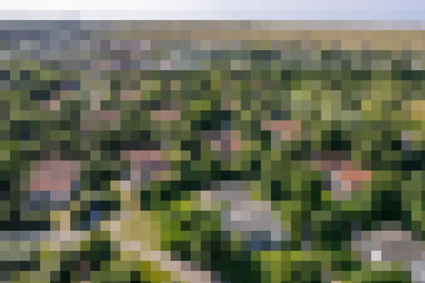 Engelsmanhiem 28 Hollum thumbnail 35