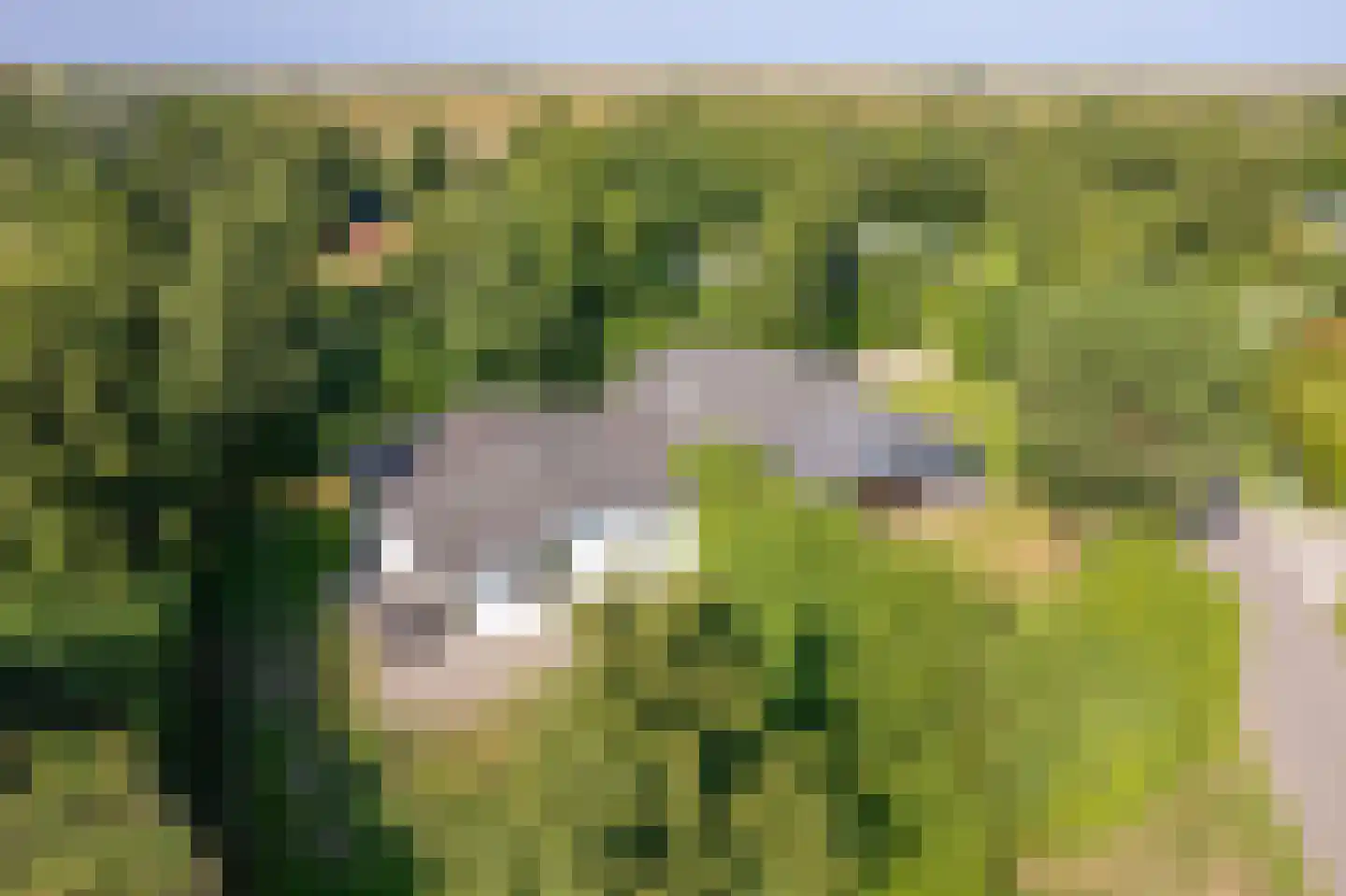 Engelsmanhiem 28 Hollum thumbnail 36