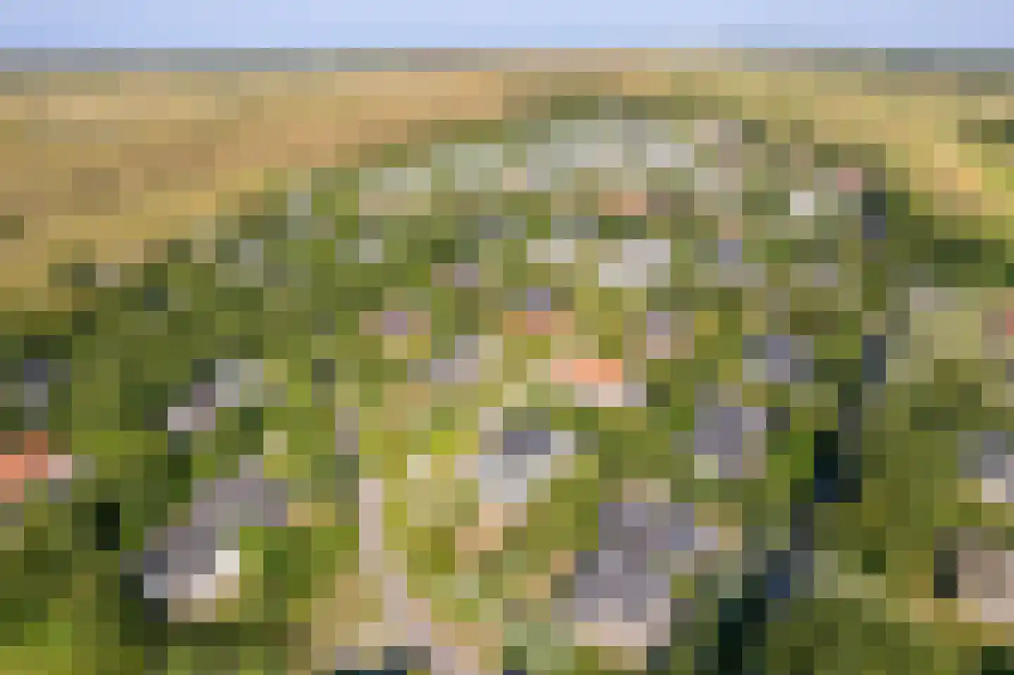 Engelsmanhiem 28 Hollum thumbnail 37