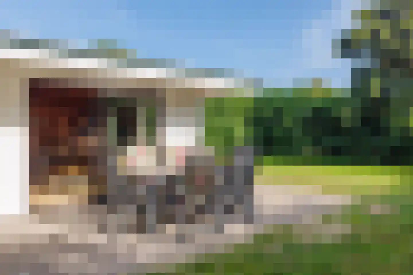Engelsmanhiem 28 Hollum thumbnail 4