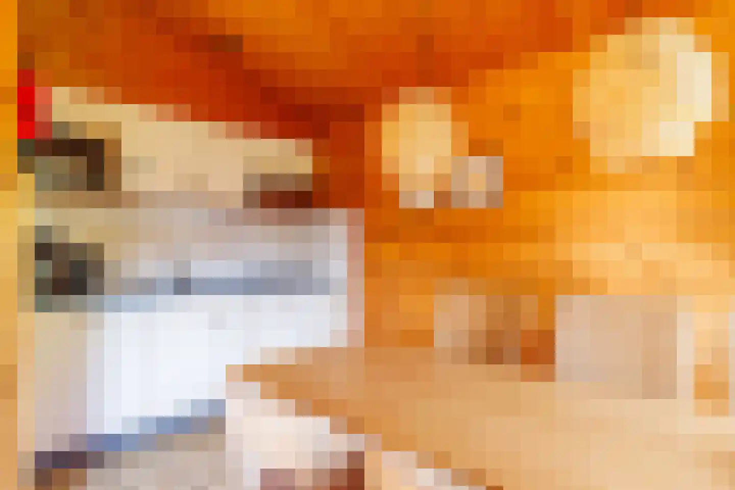 Engelsmanhiem 28 Hollum thumbnail 8