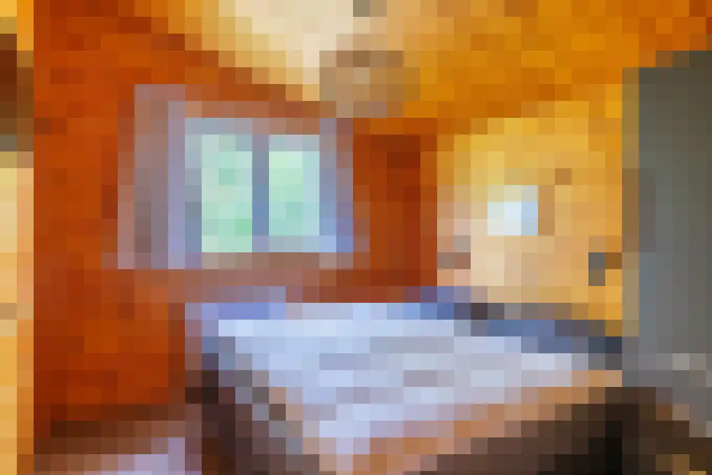 Engelsmanhiem 42 Hollum thumbnail 10