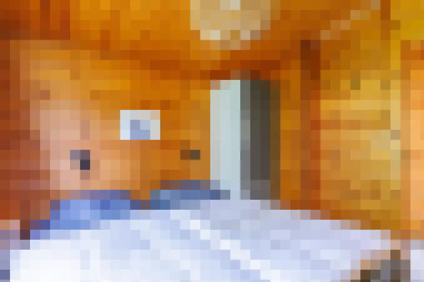 Engelsmanhiem 42 Hollum thumbnail 11