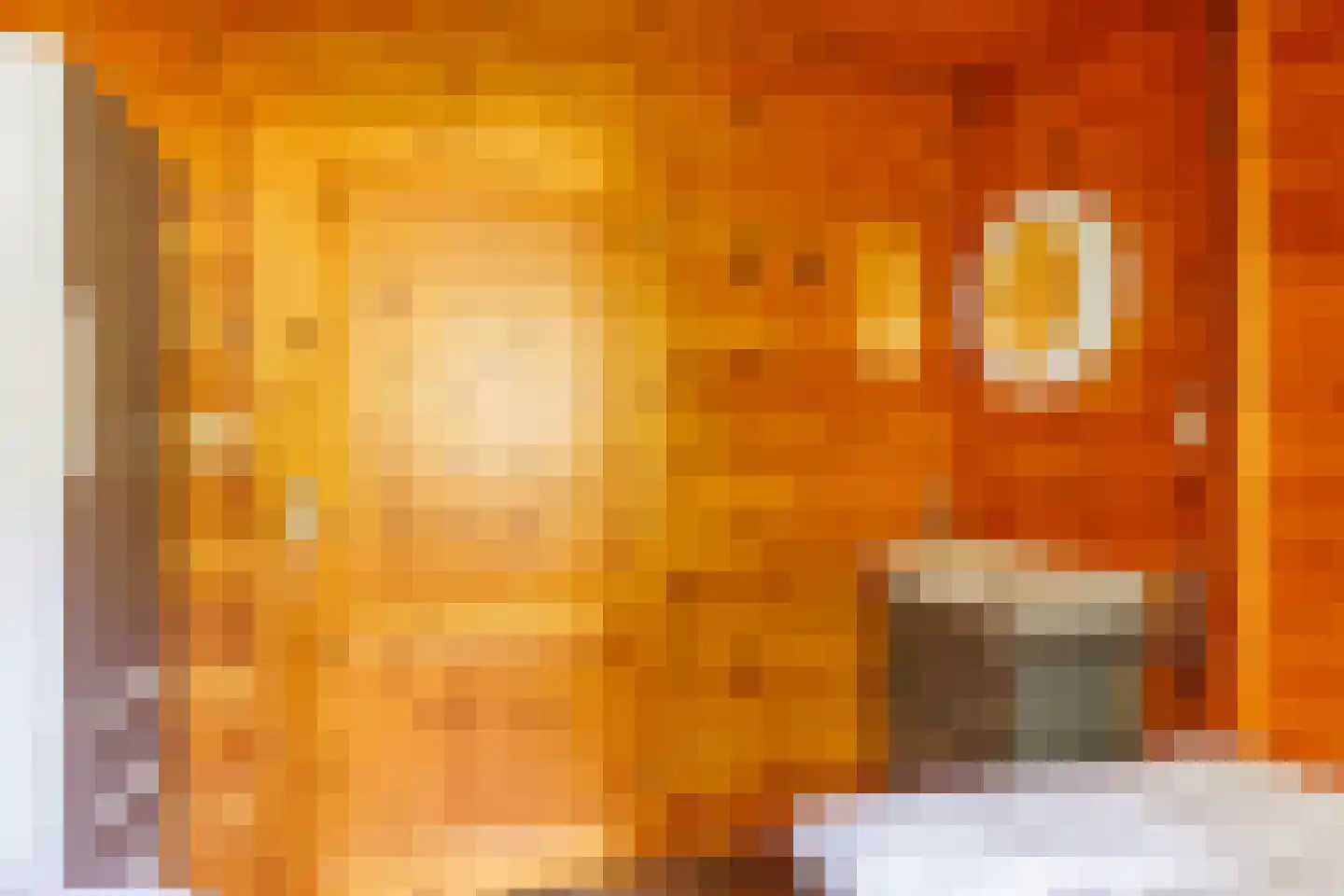 Engelsmanhiem 42 Hollum thumbnail 13