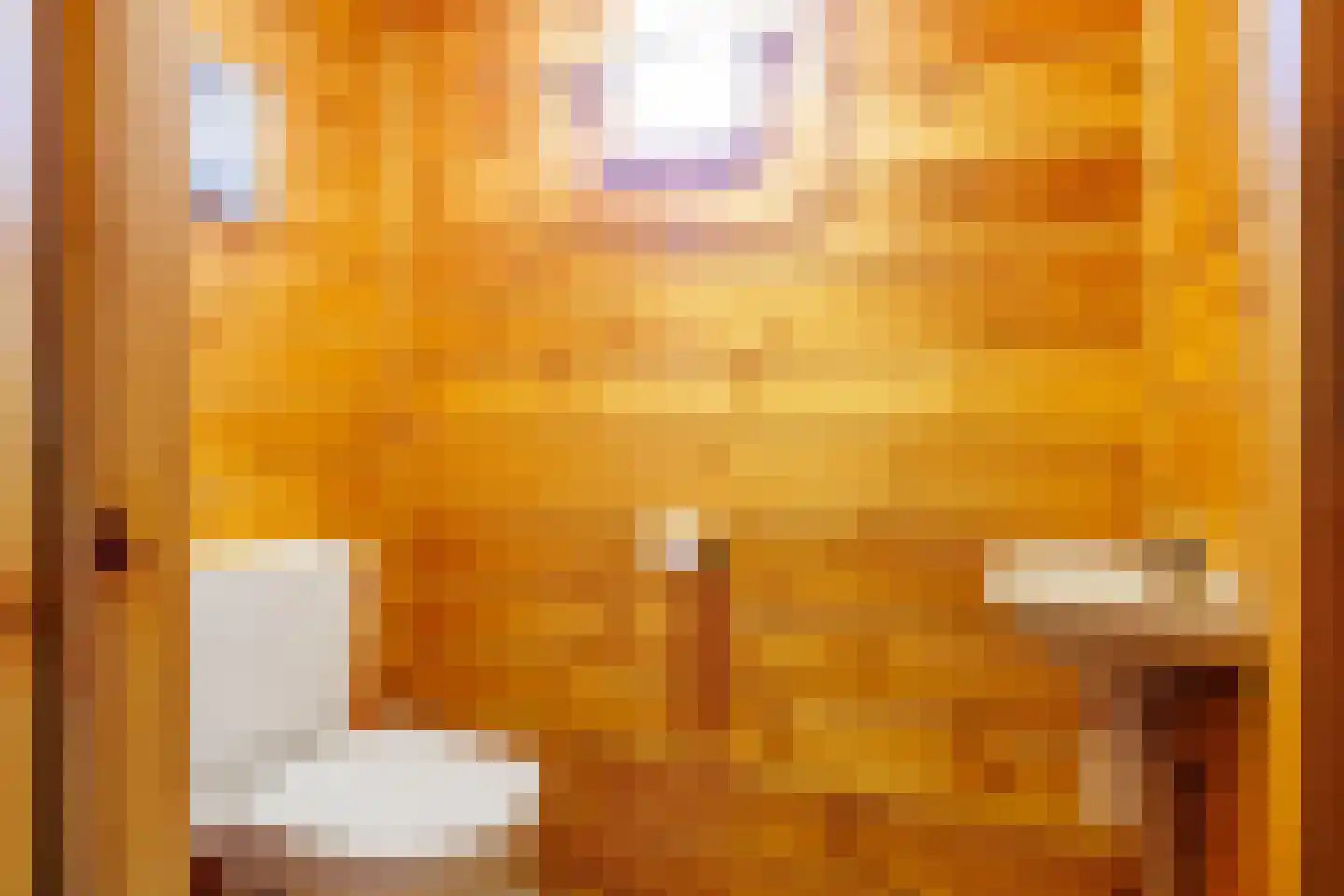 Engelsmanhiem 42 Hollum thumbnail 15
