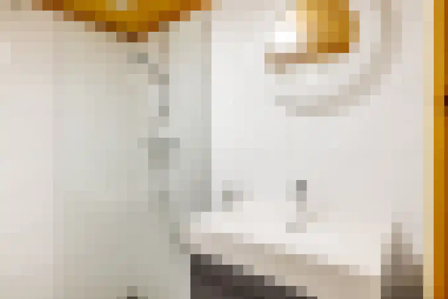 Engelsmanhiem 42 Hollum thumbnail 16