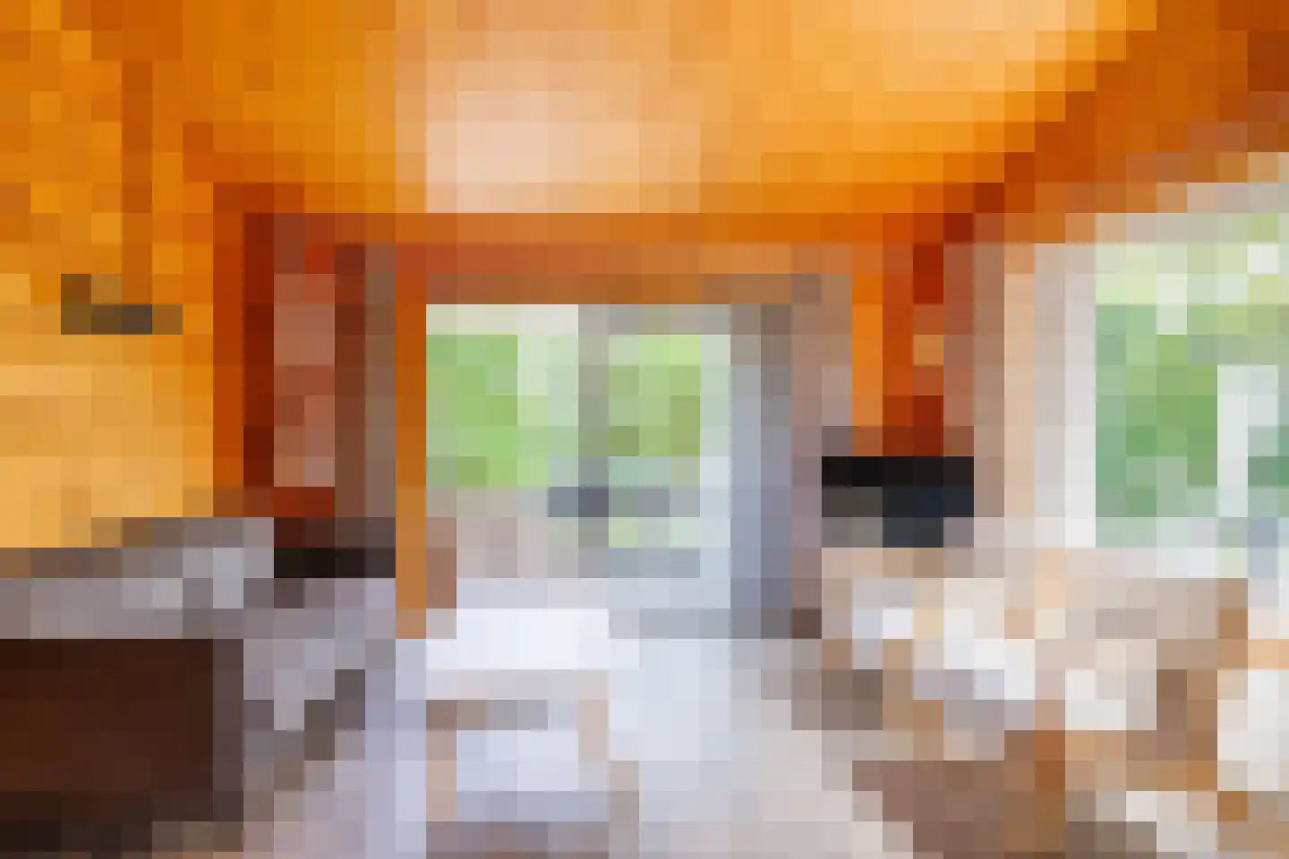 Engelsmanhiem 42 Hollum thumbnail 4
