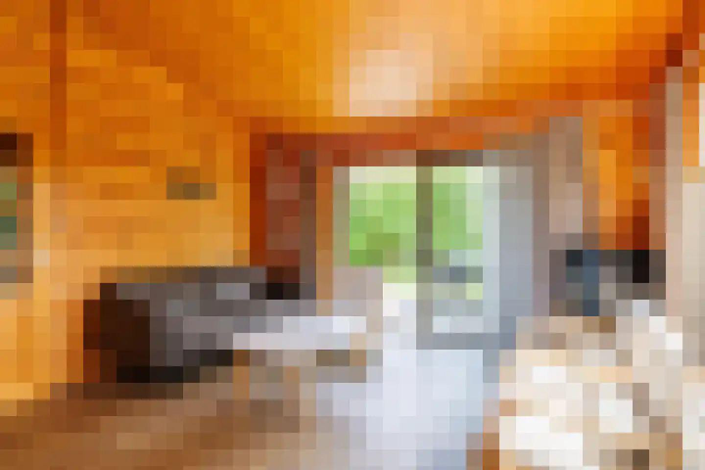 Engelsmanhiem 42 Hollum thumbnail 5