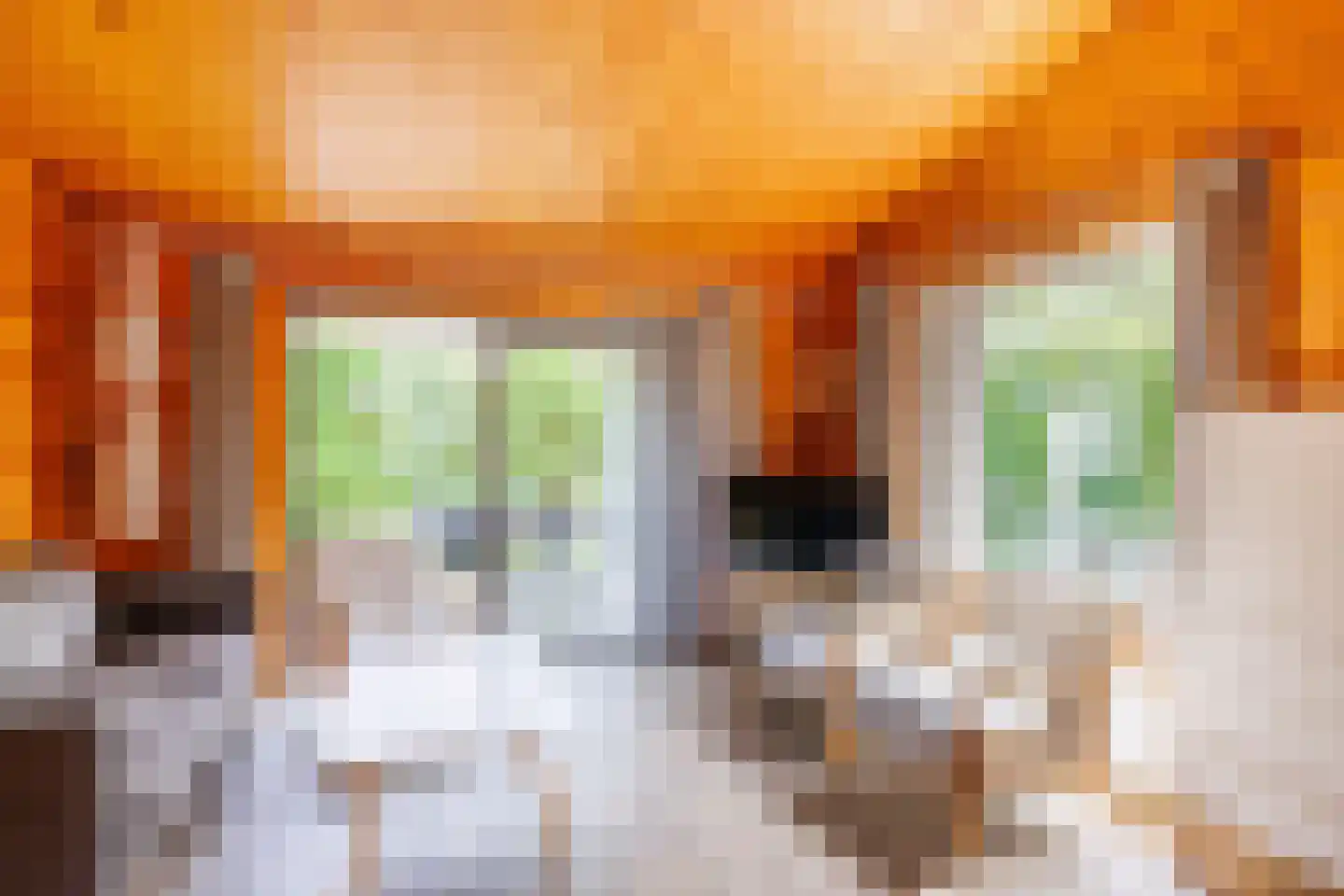 Engelsmanhiem 42 Hollum thumbnail 6