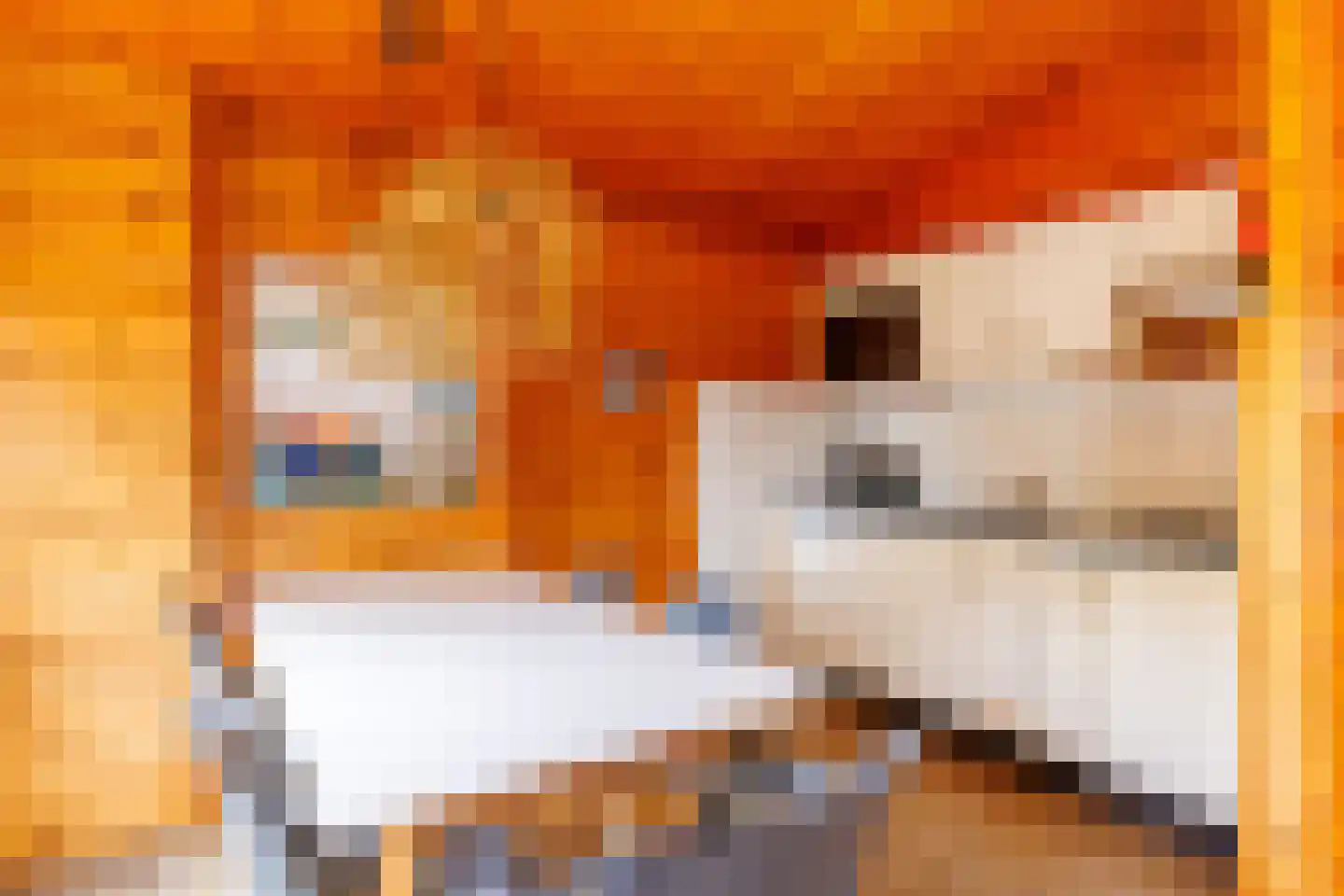 Engelsmanhiem 42 Hollum thumbnail 7