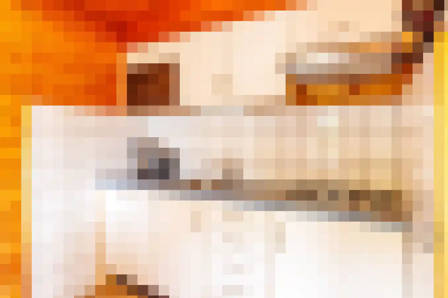 Engelsmanhiem 42 Hollum thumbnail 8
