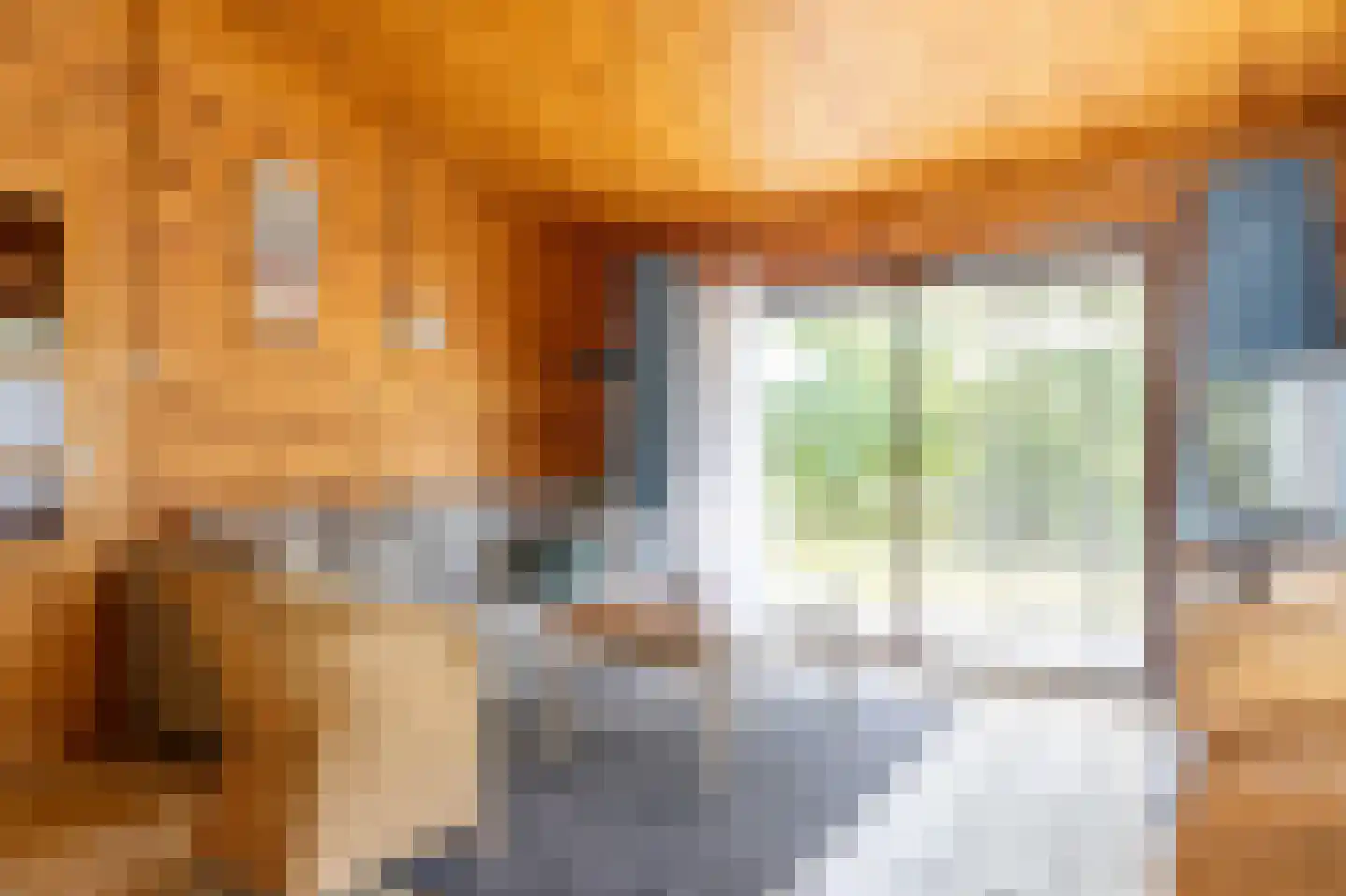 Engelsmanhiem 63 Hollum thumbnail 8