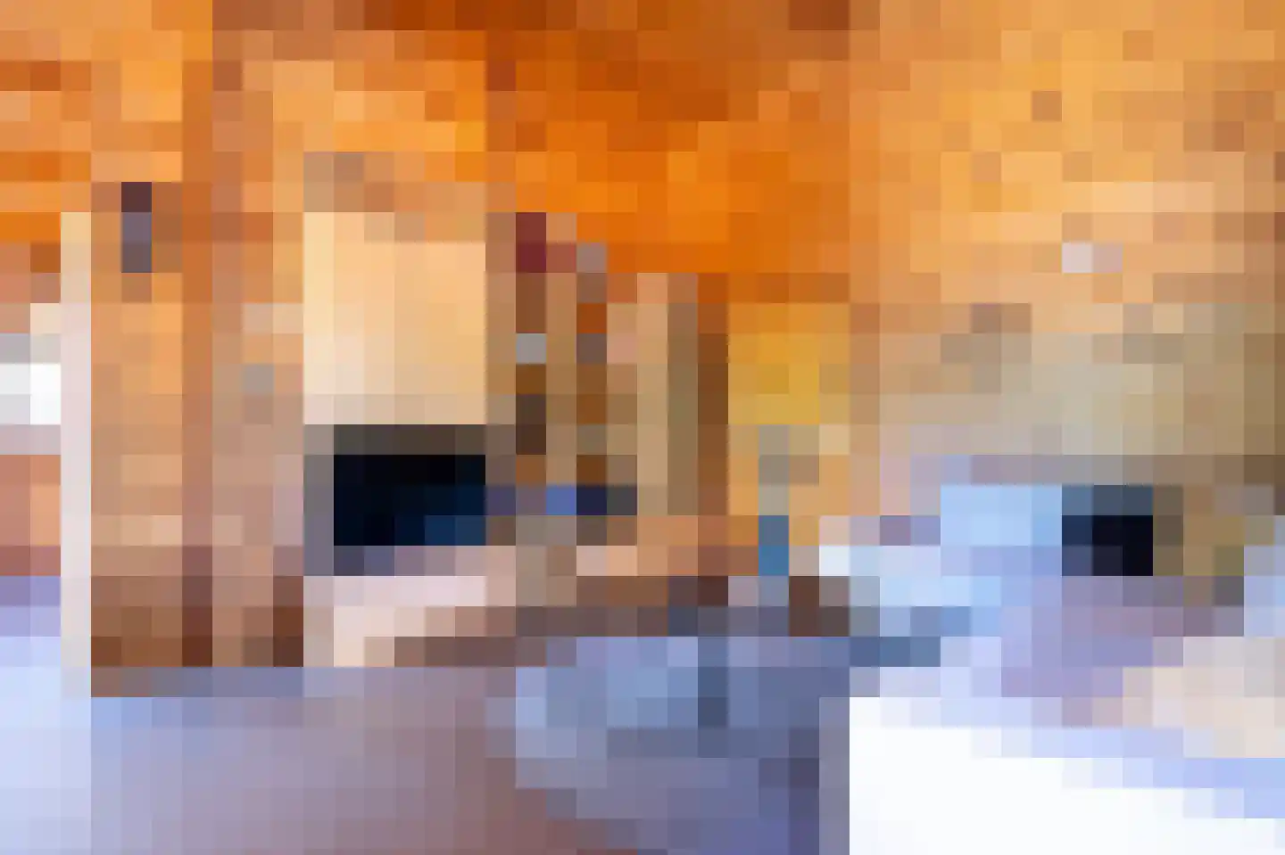 Engelsmanhiem 80 Hollum thumbnail 10