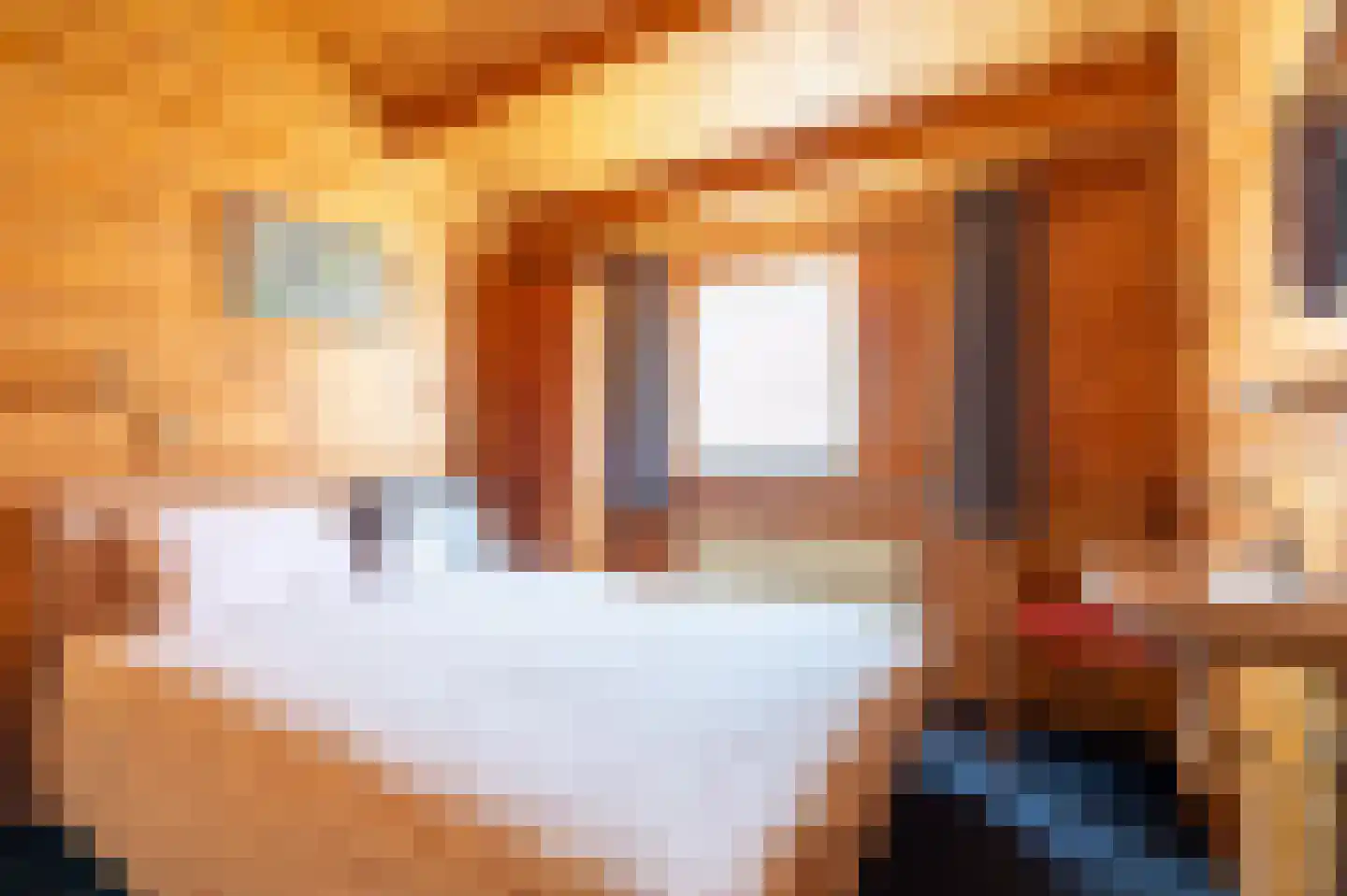 Engelsmanhiem 80 Hollum thumbnail 17