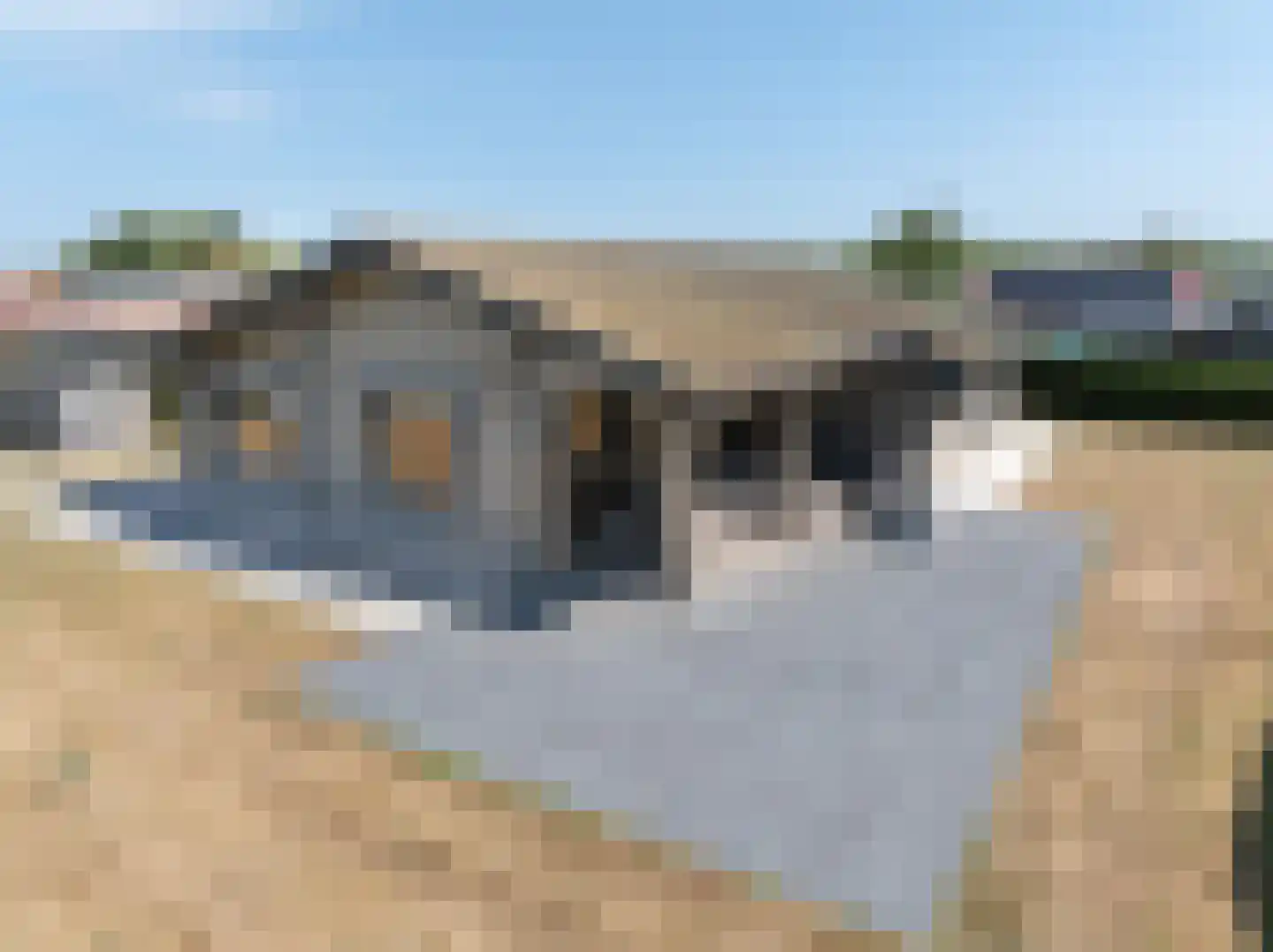 Engelsmanhiem 80 Hollum thumbnail 30