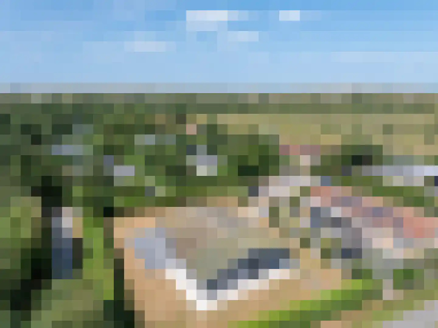 Engelsmanhiem 80 Hollum thumbnail 32