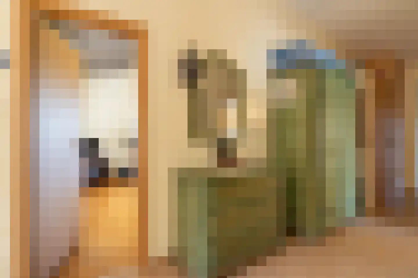 Engelsmanhiem 86 Hollum thumbnail 14