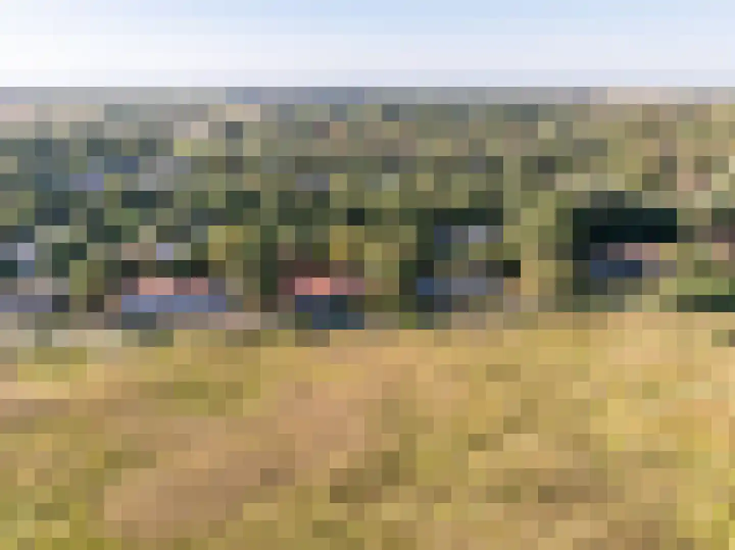 Engelsmanhiem 86 Hollum thumbnail 48