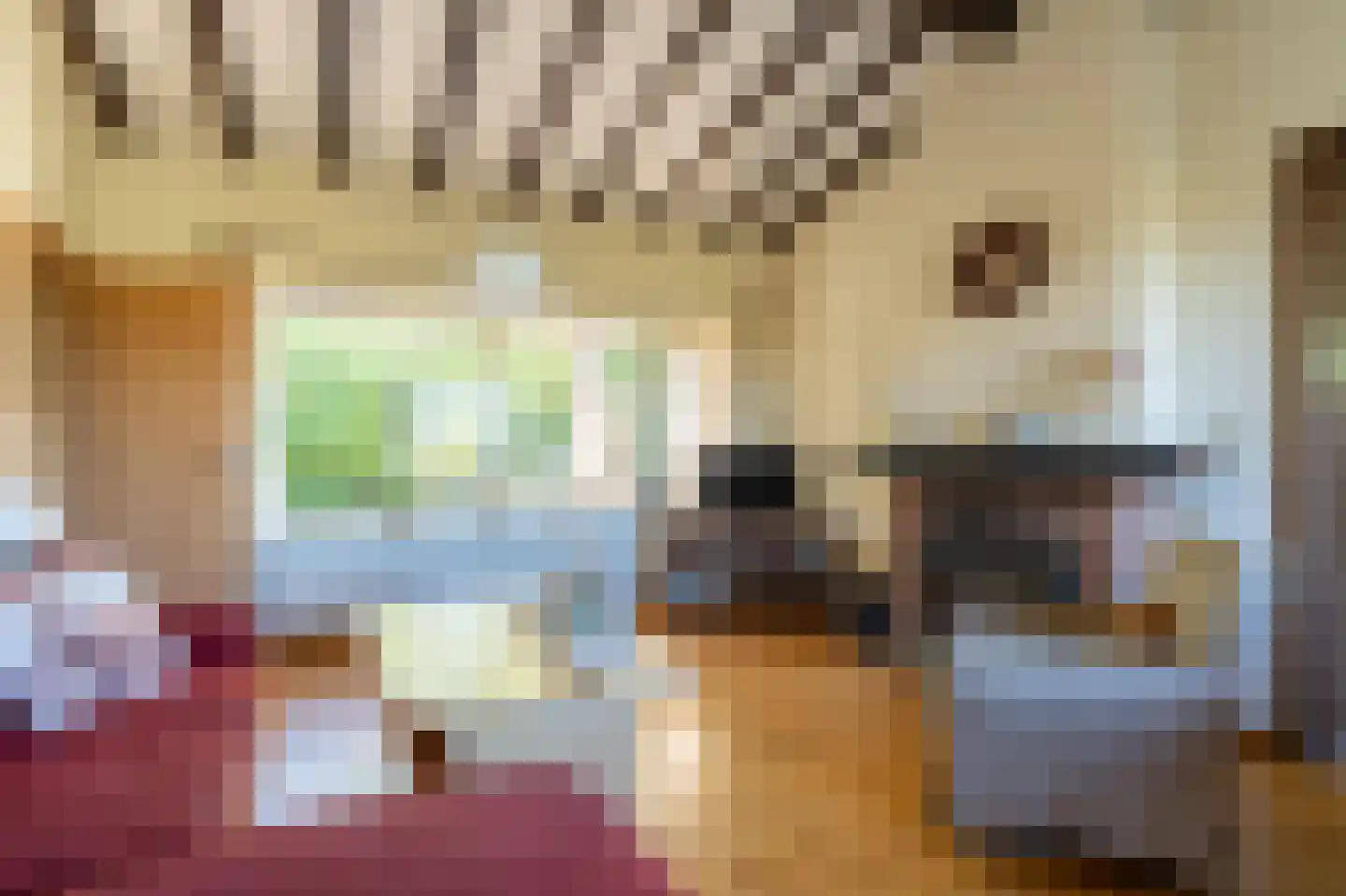 Engelsmanhiem 86 Hollum thumbnail 9