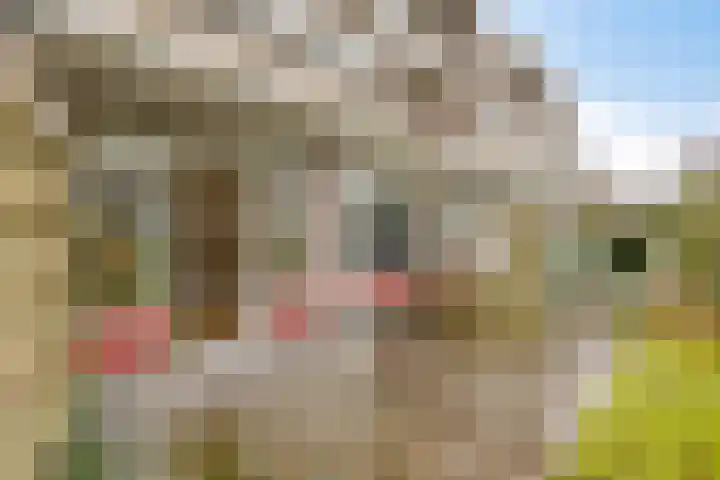 Engelsmanplaat 1 Zwolle thumbnail 12