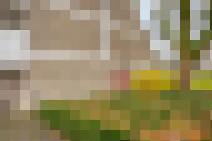 Engelsmanplaat 1 Zwolle thumbnail 20