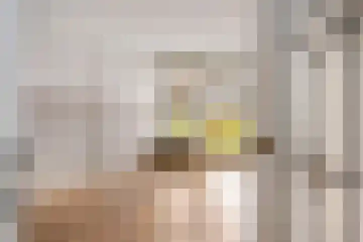 Engelsmanplaat 1 Zwolle thumbnail 6