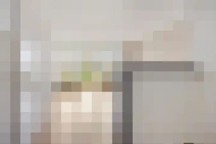 Engelsmanplaat 1 Zwolle thumbnail 8