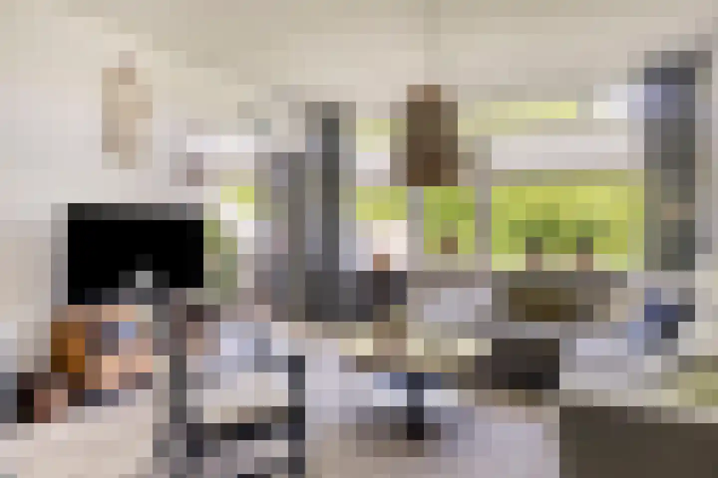 Engelsmanplaat 101 Zwolle thumbnail 15