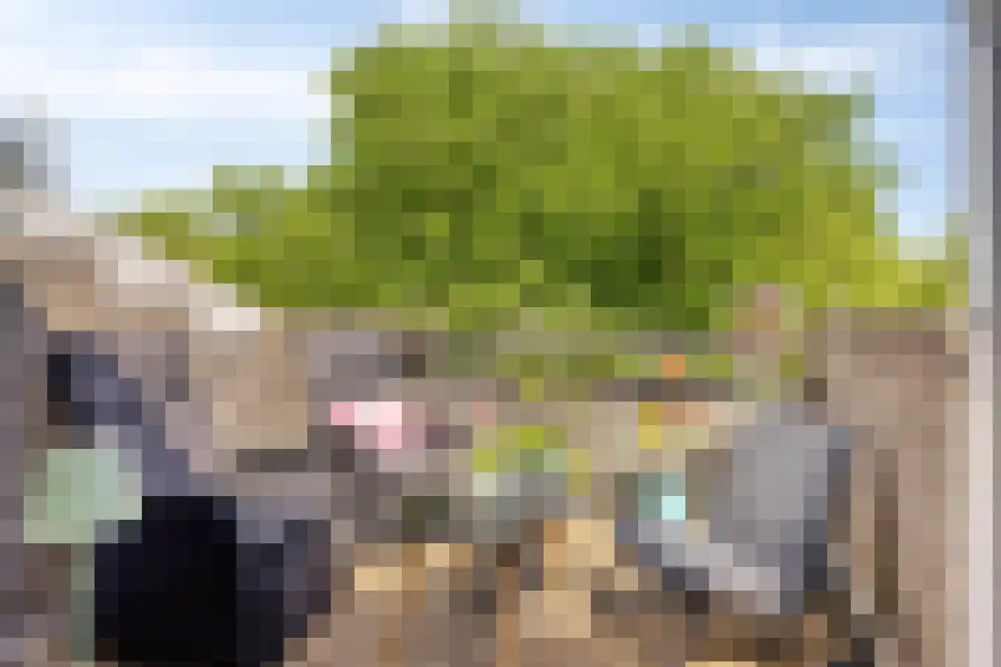 Engelsmanplaat 101 Zwolle thumbnail 28