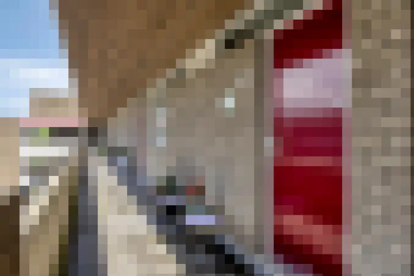 Engelsmanplaat 101 Zwolle thumbnail 8