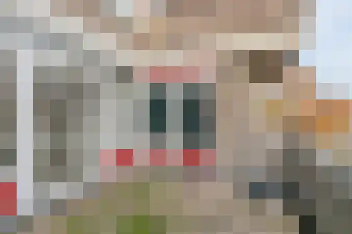 Engelsmanplaat 108 Zwolle thumbnail 11