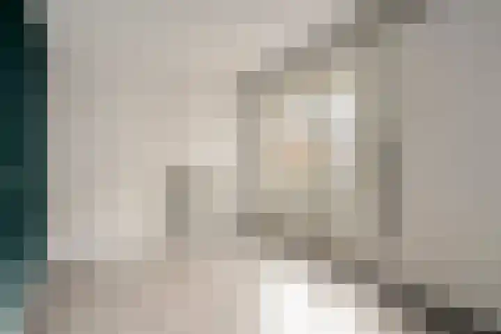 Engelsmanplaat 108 Zwolle thumbnail 12