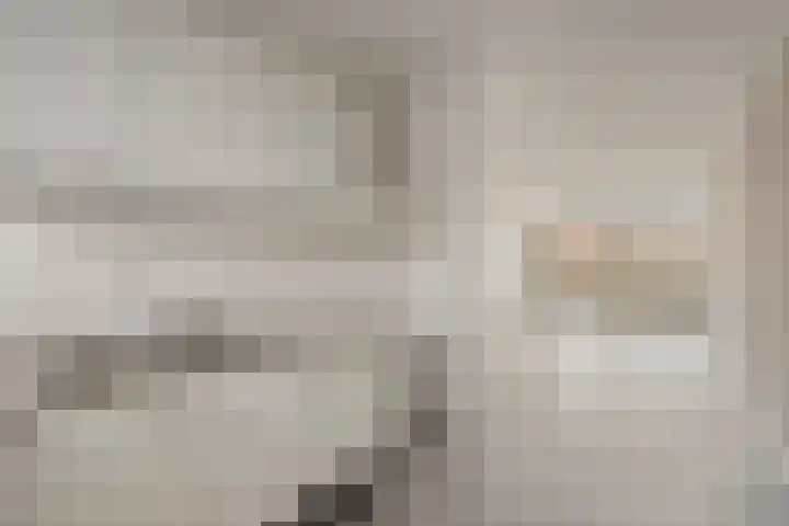 Engelsmanplaat 108 Zwolle thumbnail 6