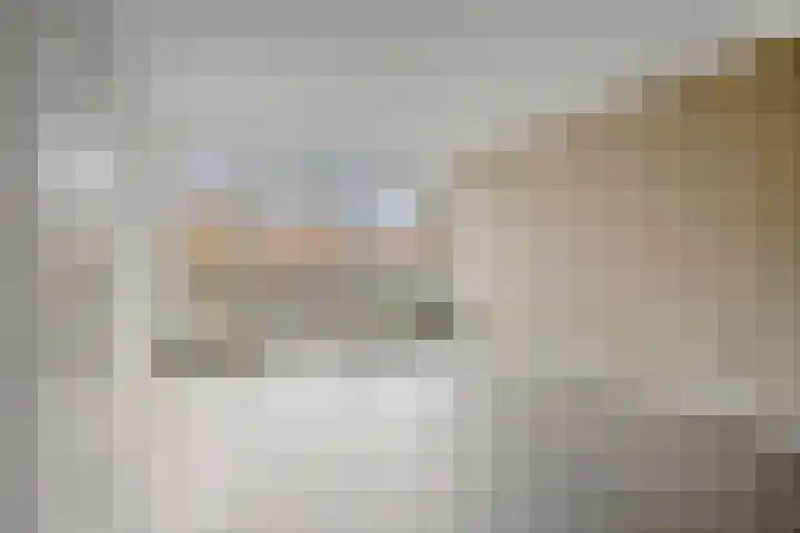 Engelsmanplaat 108 Zwolle thumbnail 7