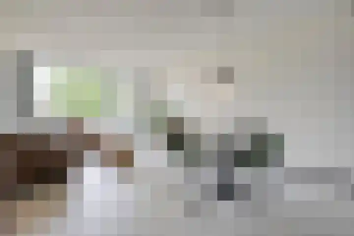 Engelsmanplaat 112 Zwolle thumbnail 11