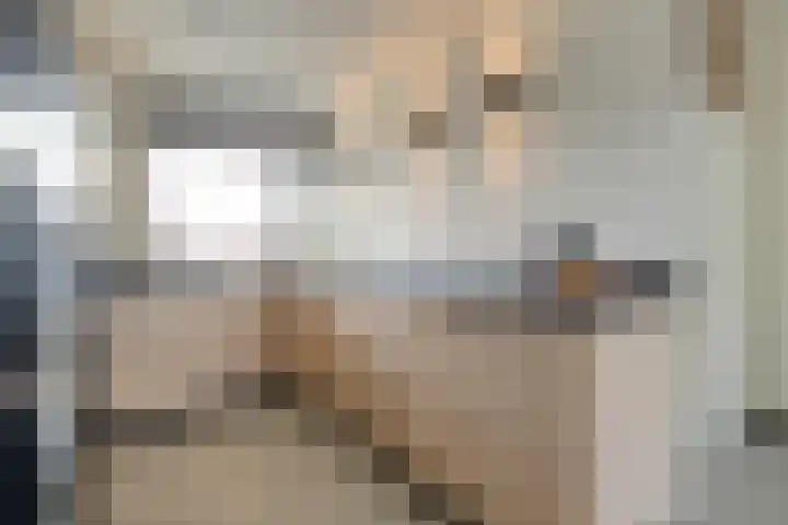 Engelsmanplaat 112 Zwolle thumbnail 18