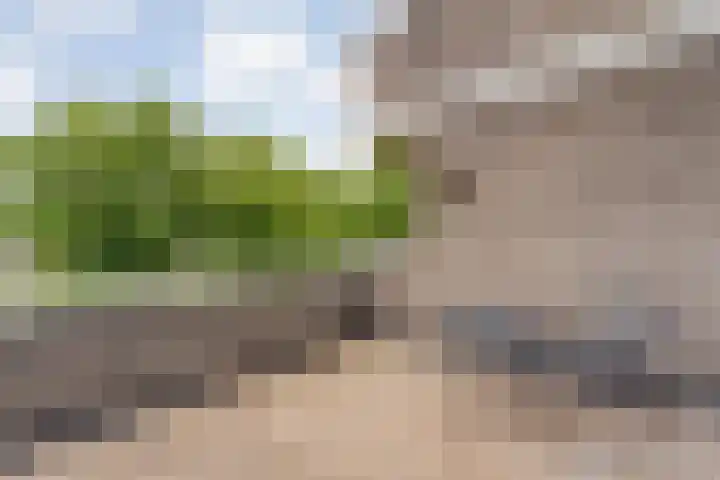 Engelsmanplaat 112 Zwolle thumbnail 22