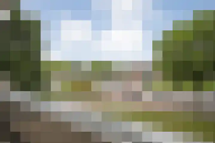 Engelsmanplaat 112 Zwolle thumbnail 23