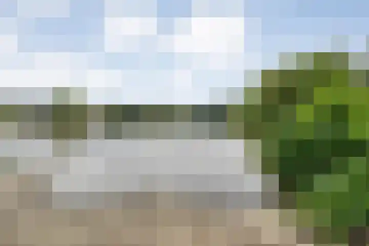 Engelsmanplaat 112 Zwolle thumbnail 28